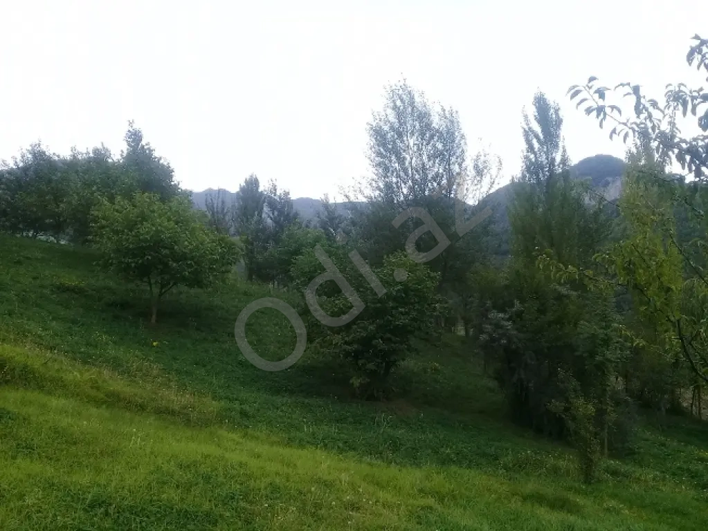 Lahıcda(İsmayıllı) kupçalı torpaq satılır