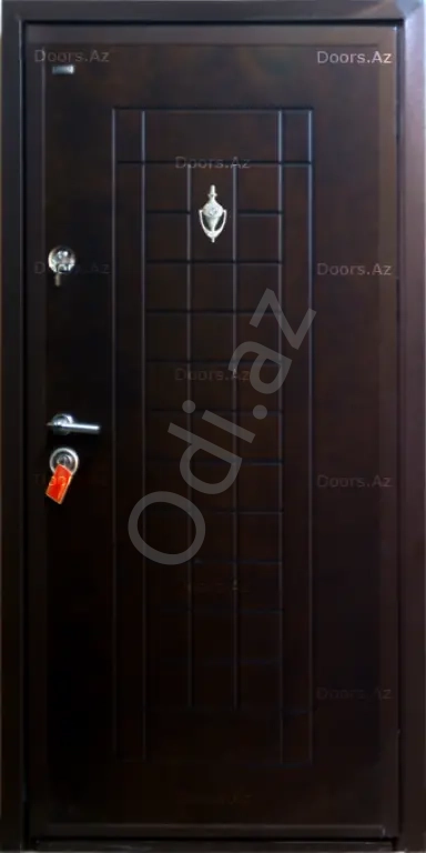 Dəmir Qapıların quraşdırılması-60 man,