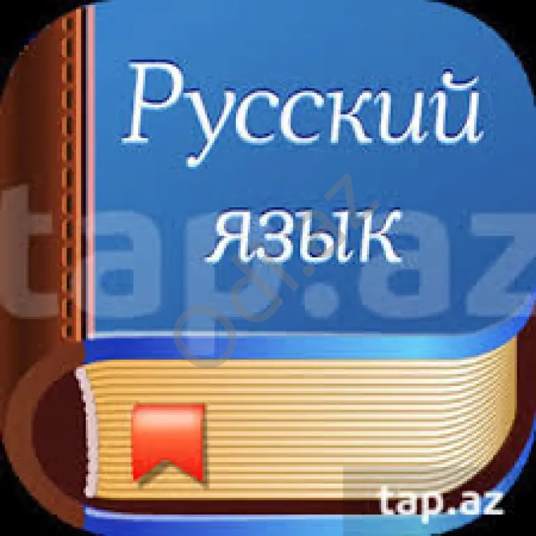 Rus dili üzrə dərslər