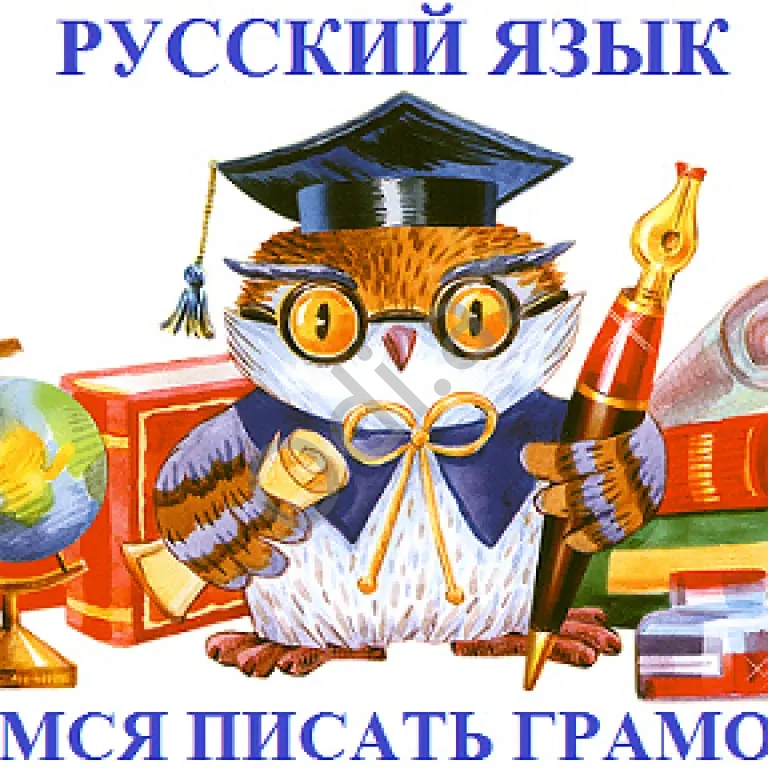 Rus dili üzrə dərslər