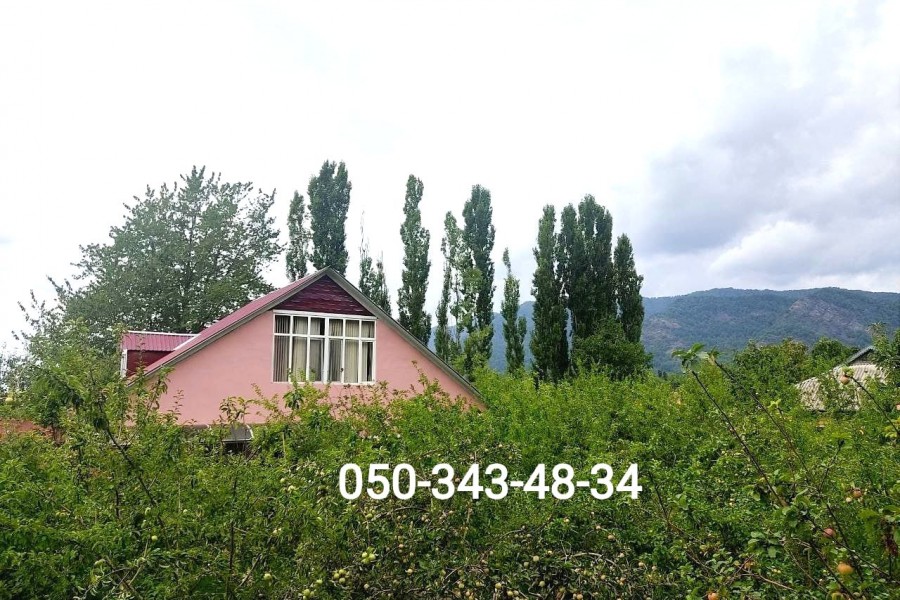 Ev Nömrə 42 - Hovuzlu Ev - Boşdur - İsmayıllıda Kiraye Bağ Evleri və Villalar