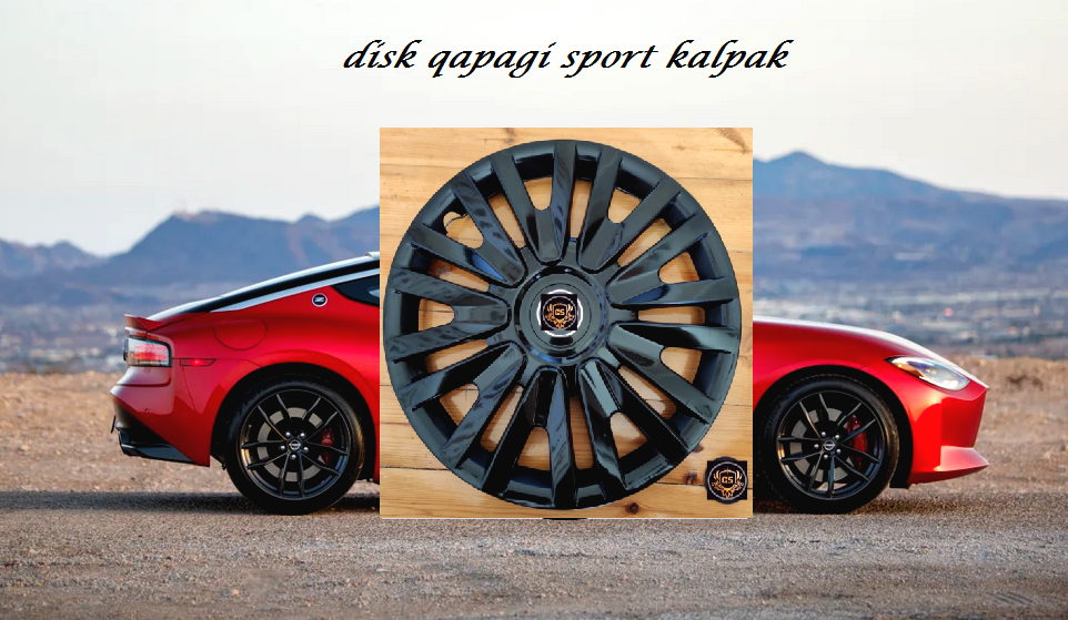kia hyundai diskqapagi r15/r14