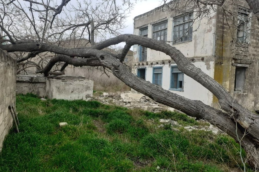 EKSKLÜZİV ! MƏRDƏKANDA 1 SOTUN QİYMƏTİ 10.000 AZN