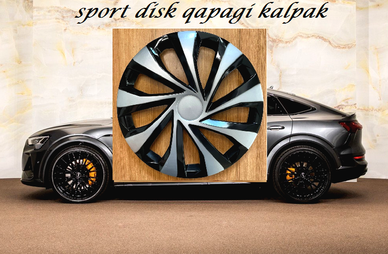 disk kalpak r15/r14