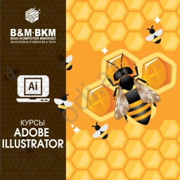 Курсы Adobe Illustrator