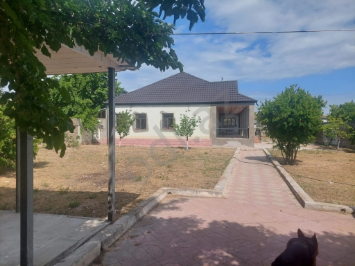 Albaliliq qesebesi