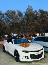 camaro bey gelin toy masini sifarisi