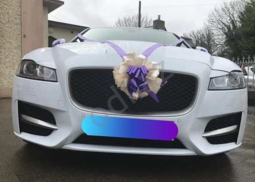 jaguar bey gelin toy masini sifarisi