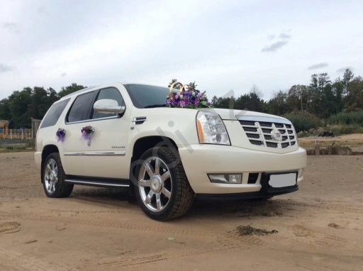 cadillac bey gelin toy masini sifarisi