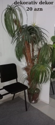 İkinci əl əşyalar mebeller satılır. Kurs, bağça, ofis mebelləri, salon