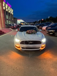 mustang bey gelin toy masini sifarisi