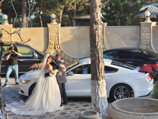 mustang bey gelin toy masini sifarisi