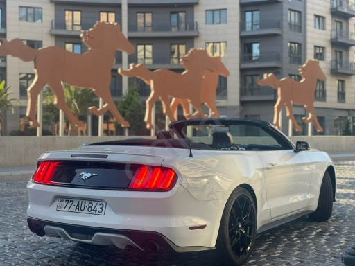 mustang bey gelin toy masini sifarisi