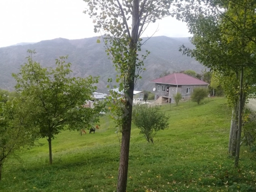 Lahıcda (İsmayıllı r-nu) kupçalı torpaq satılır