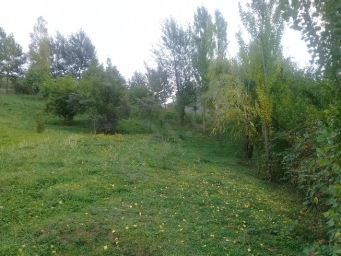 Lahıcda (İsmayıllı r-nu) kupçalı torpaq satılır