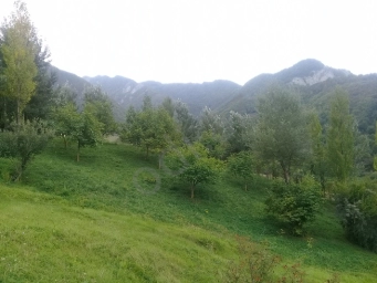 Lahıcda (İsmayıllı r-nu) kupçalı torpaq satılır