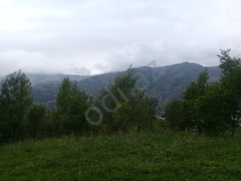Lahıcda (İsmayıllı r-nu) kupçalı torpaq satılır