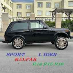 diskqapagi lider sport kalpak R14 R15 R16