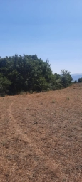 Şabran rayonu 50 sot torpaq