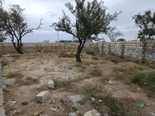 Zabrat qəs.