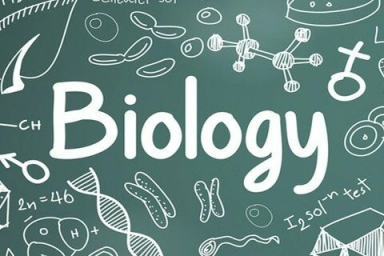 Biologiya fənni üzrə hazırlıq.