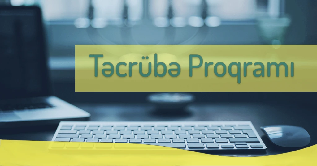 Mühasib təcrübəçi