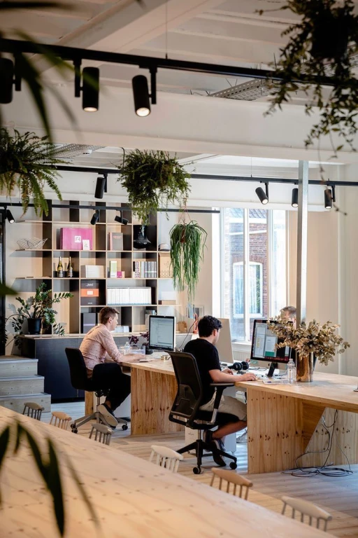 Ofis meneceri
